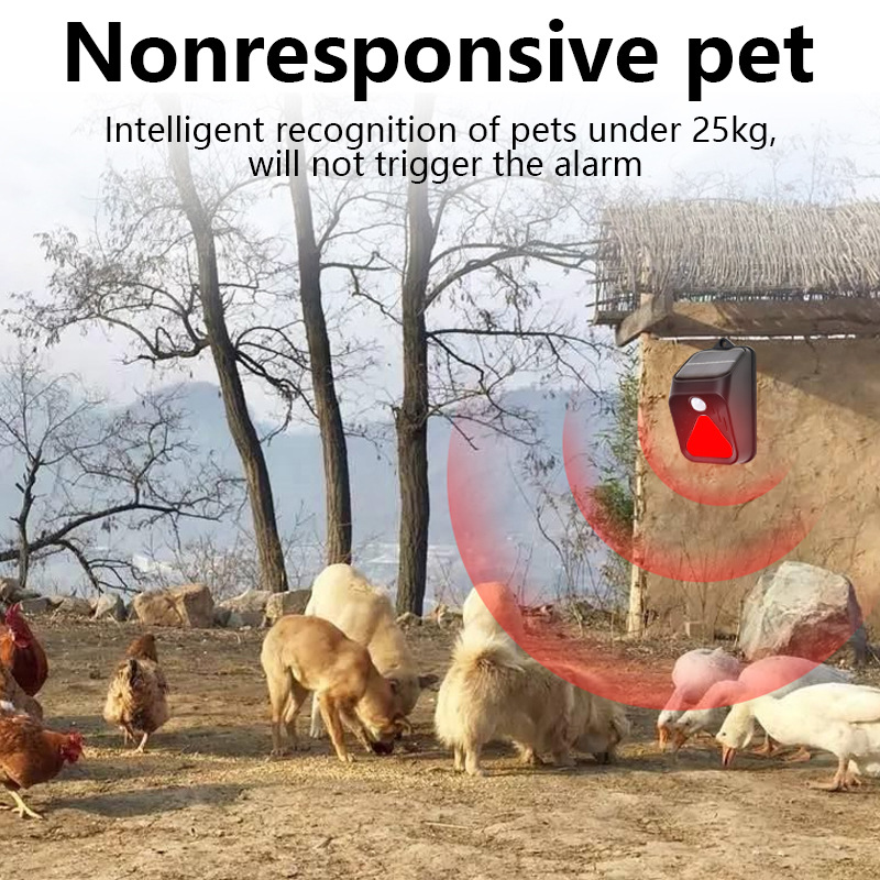 태양 광 발전 방수 경보 빛 모션 센서 감지기 사이렌  - Home Security Yard Sensors 리뷰 및 가격