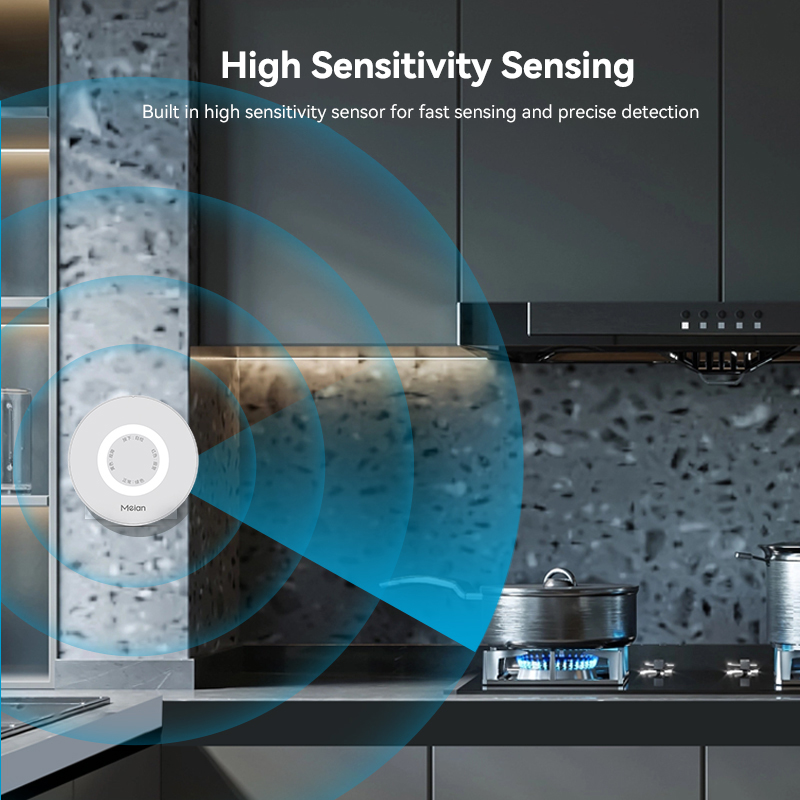Meian Zigbee 가스 감지기 Tuya Wifi  - Home Security Gadgets 리뷰 및 가격