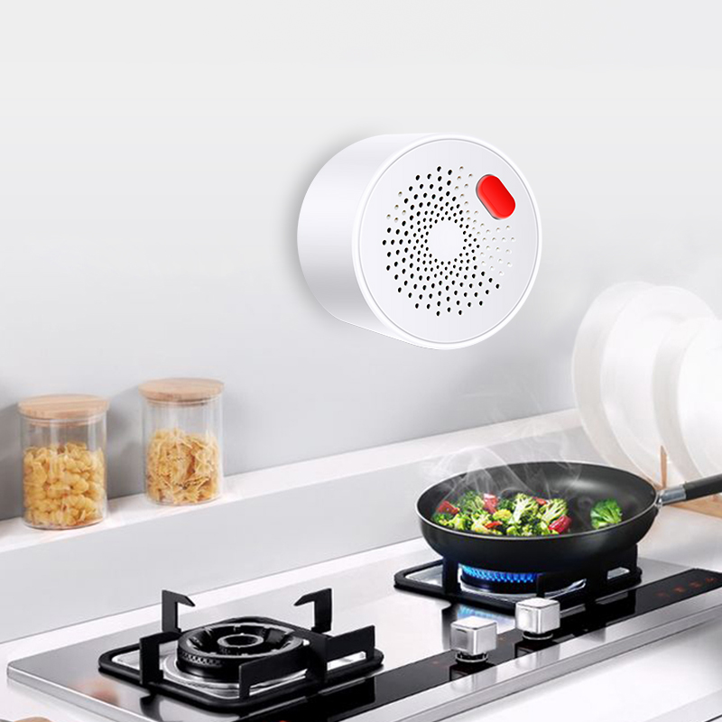 Tuya 스마트 홈 와이파이 천연 가스 센서, 가연성  - Home Security Gadgets 리뷰 및 가격